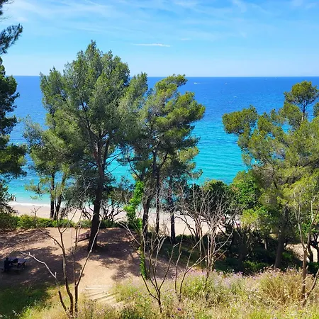 Bleu A 400 M De La Appartement Le Pradet