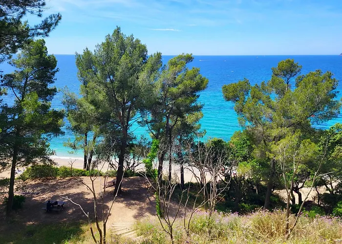 A 400 M De La Apartment Le Pradet