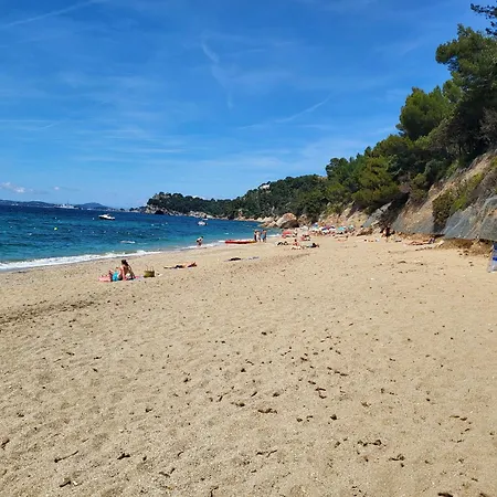 Bleu A 400 M De La Lejlighed Le Pradet